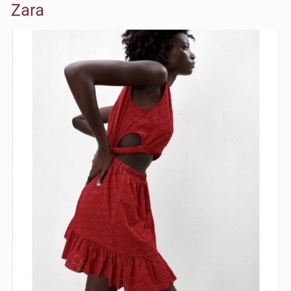 ZARA OPENWORK EMBROIDERED TERRACOTTA DRESS - Picture 4 of 16